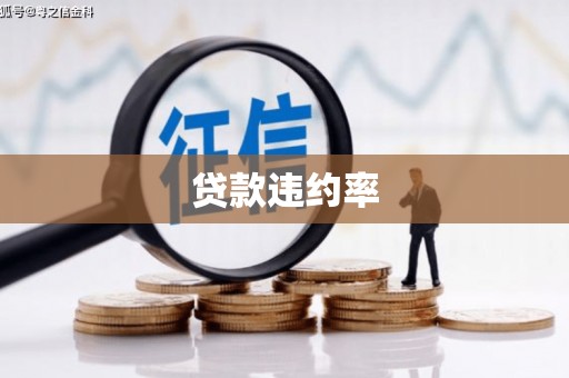 江口贷款违约率