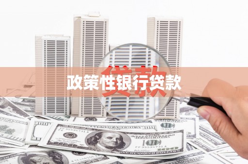 江口政策性银行贷款