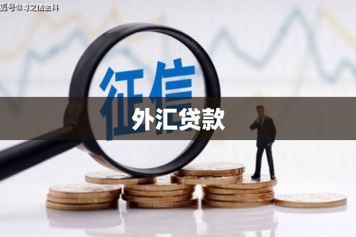 江口外汇贷款