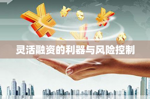 江口灵活融资的利器与风险控制