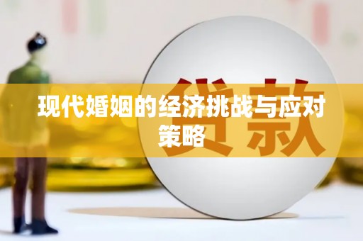 江口现代婚姻的经济挑战与应对策略