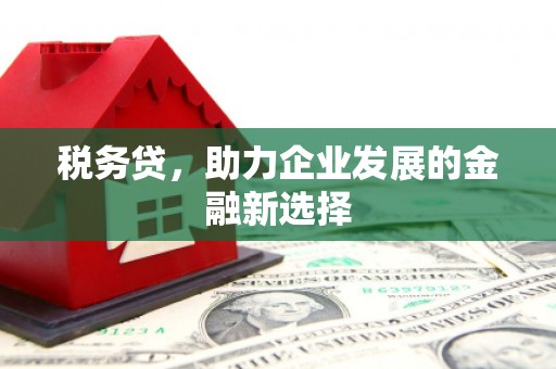 江口税务贷，助力企业发展的金融新选择