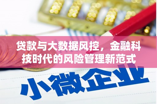 江口贷款与大数据风控，金融科技时代的风险管理新范式