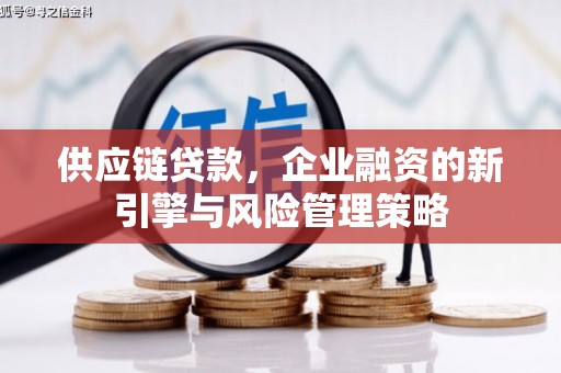 江口供应链贷款，企业融资的新引擎与风险管理策略
