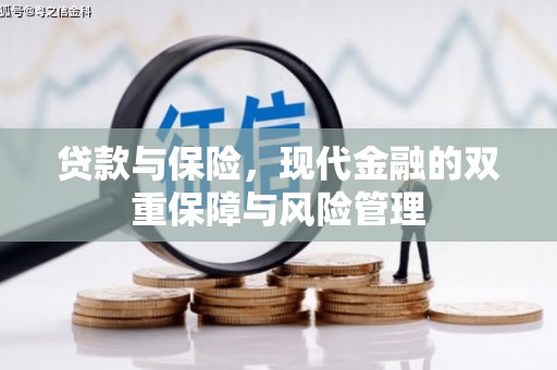 江口贷款与保险，现代金融的双重保障与风险管理