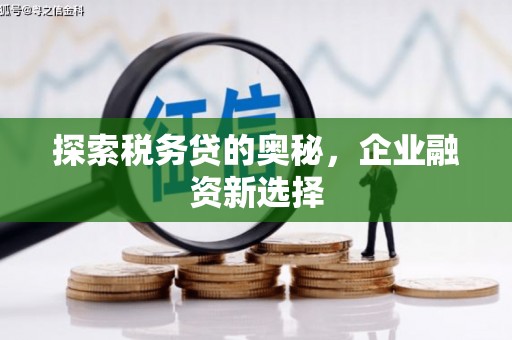 江口探索税务贷的奥秘，企业融资新选择