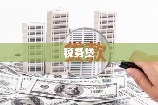 江口税务贷