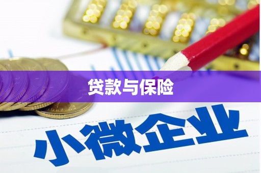江口贷款与保险