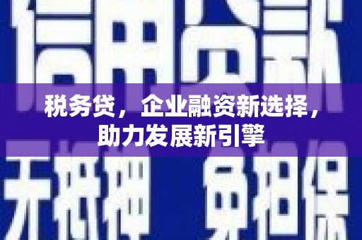 江口税务贷，企业融资新选择，助力发展新引擎