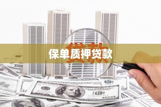 江口保单质押贷款