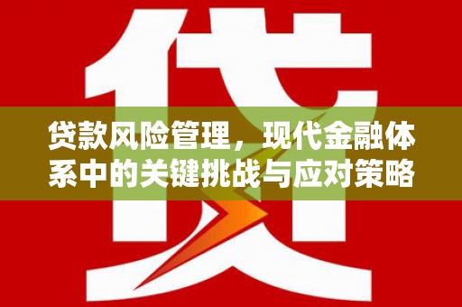 江口贷款风险管理，现代金融体系中的关键挑战与应对策略