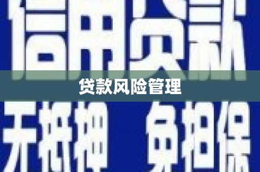 江口贷款风险管理
