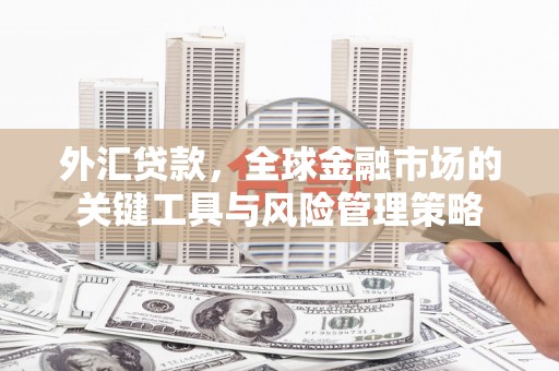 江口外汇贷款，全球金融市场的关键工具与风险管理策略