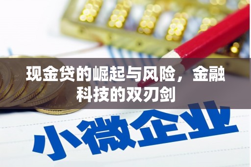 江口现金贷的崛起与风险，金融科技的双刃剑