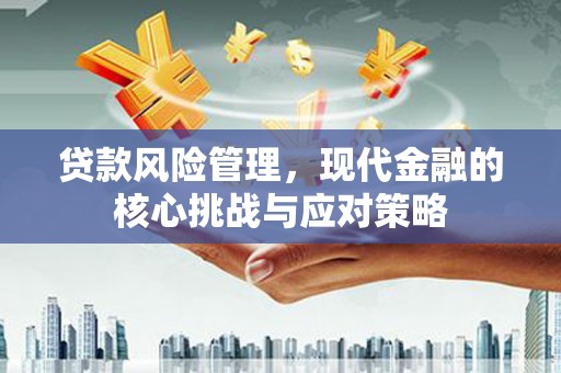 江口贷款风险管理，现代金融的核心挑战与应对策略