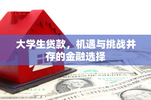 江口大学生贷款，机遇与挑战并存的金融选择