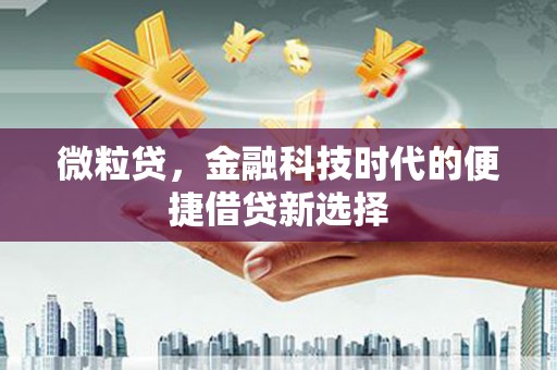 江口微粒贷，金融科技时代的便捷借贷新选择