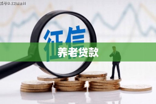 江口养老贷款