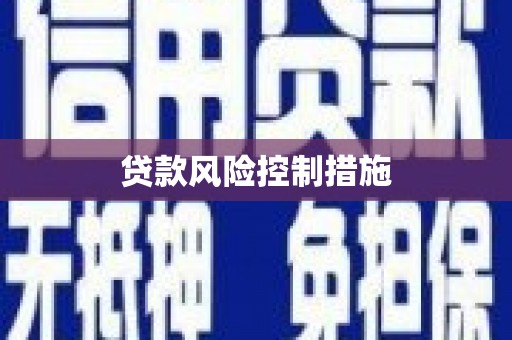 江口贷款风险控制措施